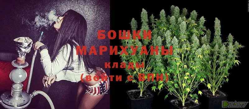 наркотики  Новомосковск  Бошки марихуана White Widow 